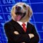 Dog of Stonk icon