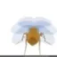 Odyssey Fly icon