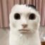 人面猫 icon