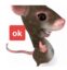 OK Mouse icon