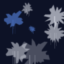 Macro Array icon
