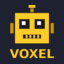 Voxel icon