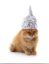 Conspiracy Cat icon