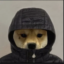 dog icon