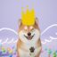 Xiu Cha icon