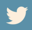Twitter icon