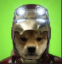 ironinu icon