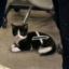 XCAT icon