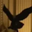 The Golden Eagle icon