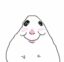 HAMSTER icon