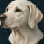Dog Brain icon