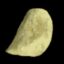 Potato icon