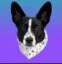 ADA icon