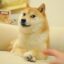 KABOSU icon