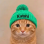 Kalshi Cat icon