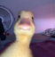 Harold icon