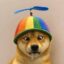 Dog Wif Tism icon
