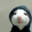MidTermDev icon