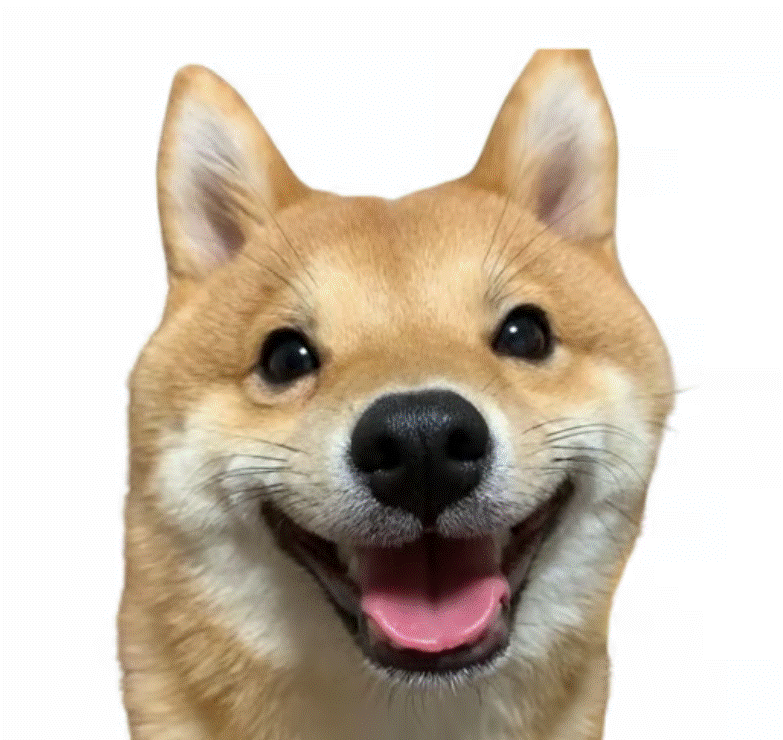 Animal Friends Fund icon