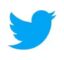 The Twitter Bird icon