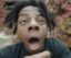 StupidDOG icon