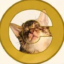 Catecoin icon