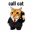 call cat icon