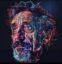 John McAfee icon