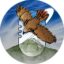 Alveus Animal Sanctuary icon