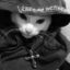 Chrome Cat icon
