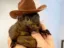Pnut The Squirrel icon
