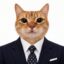 Venture Catpitalist icon