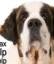 debtdog icon