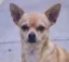 max icon