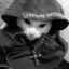 Chromecat icon