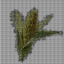 Corncoin icon