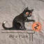 Punk Cat icon