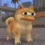 Doge Pepe icon