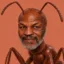 ANTH icon