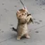 swordcat icon