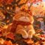 AUTUMNCAT icon