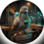 Tenant Bird icon
