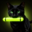 Baton Cat icon
