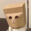 Anonymous Cat icon