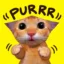 PURRR icon