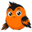 Burrdie icon