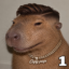 CAPYPAPI icon