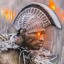 Kanekoa The Great icon