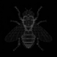 Fly Agent icon
