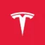 Tesla FSD icon
